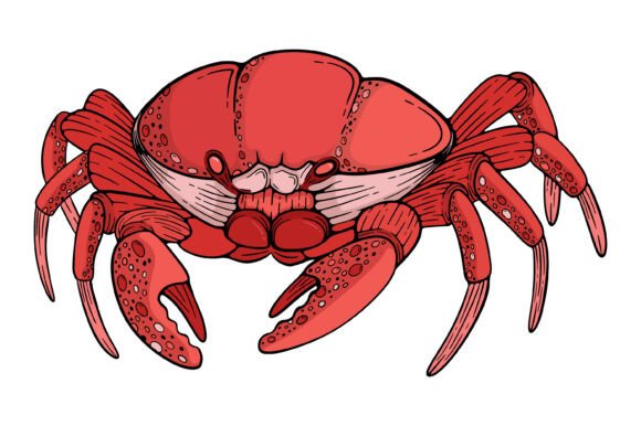 Red Crab Sea Monster Vintage Design Graphics
